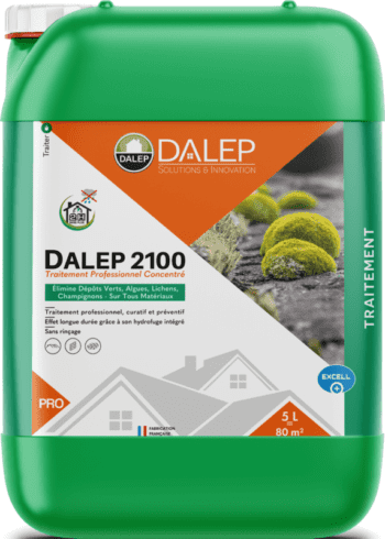 DALEP 2100 Traitement Professionnel Concentré 5L